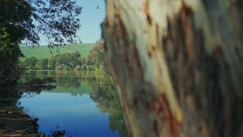 a moving shot of near the Jordan River