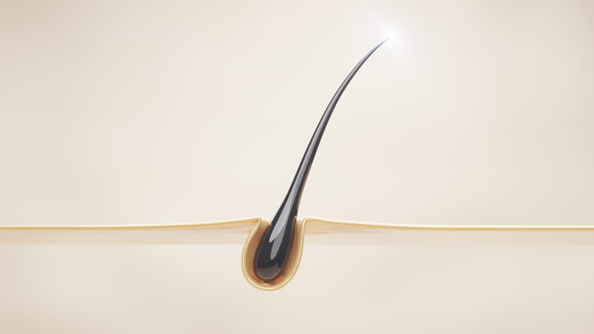 3D animation showing hair repair and follicle nourishment with deep serum penetration, illustrating advanced scalp treatment, hydration, and revitalization for healthy, strong hair.