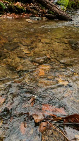 Vertical Video Waterfall and River in a forest during the winter