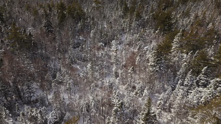 A Breathtaking Aerial View Of A Snow-Covered Spruce Forest, A Frozen Lake, And Majestic Snowy Mountains In Nova Scotia. The Rolling Clouds And Bright Sunshine Highlight The Beauty Winter Landscape.