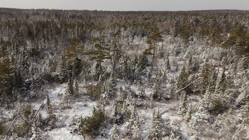 A Majestic Aerial View Of A Snow-Covered Spruce Forest, A Frozen Lake, And Snow-Capped Mountains In Nova Scotia. Rolling Clouds And Sunshine Add To The Scenic Beauty Of This Perfect Winter Landscape.