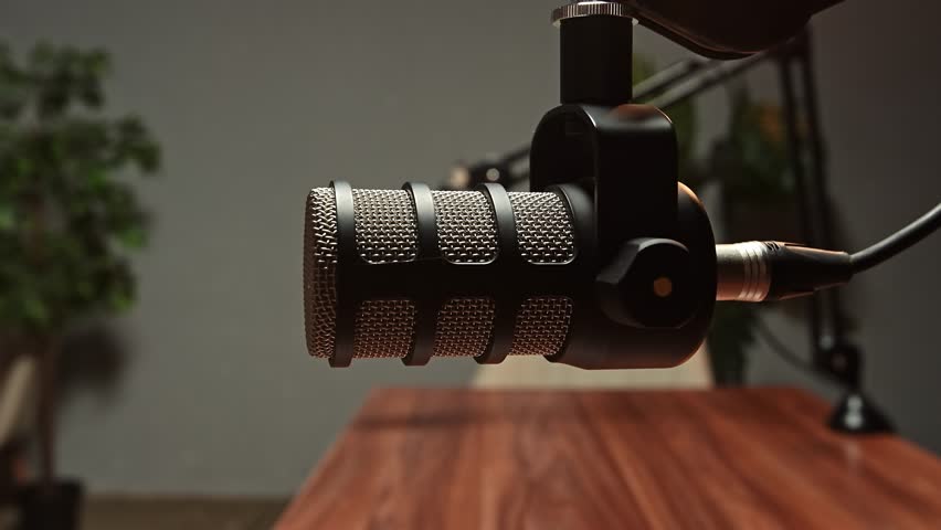 Professional Podcast Microphone a Close-Up
