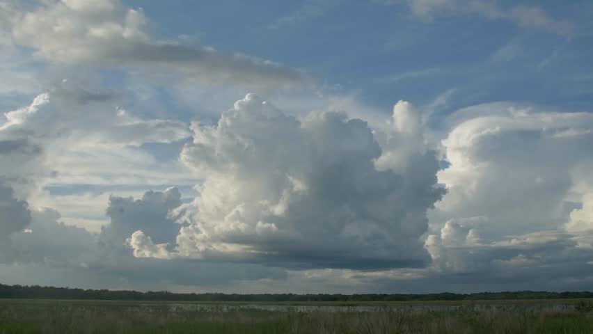 A dramatic sky filled with towering cumulus clouds stretches over a vast open landscape Myakka River State Park Florida