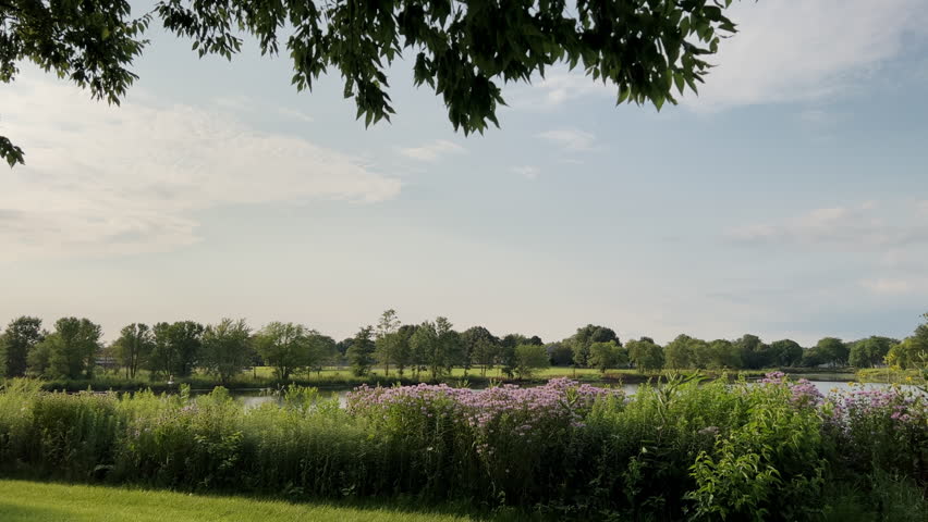 Peaceful nature scene with a well kept grassy park and majestic lake under clear skies.