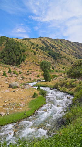 mountain river with boulders between grass covered slopes at sunny autumn day in Kyrgyzstan, lockdown shot