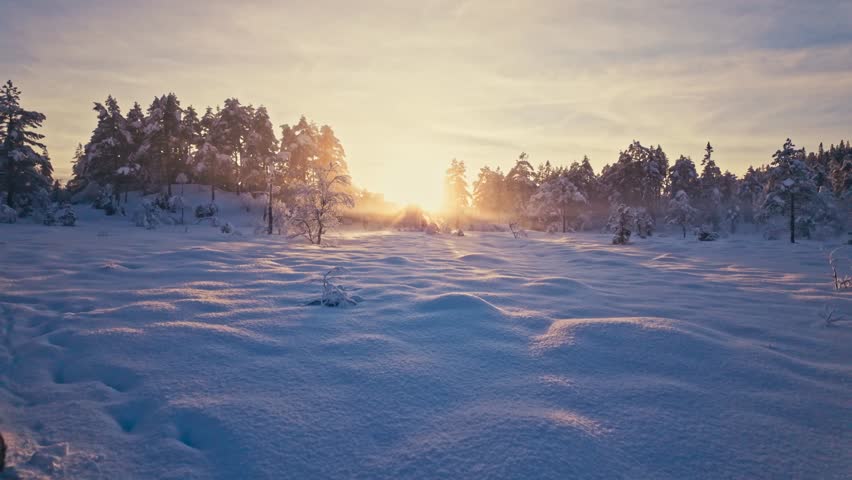 Snowy Landscape At Sunset During Winter - Wide Shot
