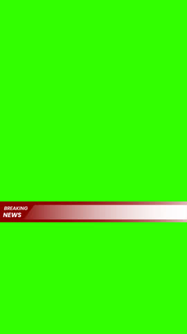 Shutterstock Video