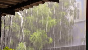 Heavy rain pouring from a roof's edge, blurring the green foliage in the background, creating a tranquil and serene atmosphere - Powered by Shutterstock - Get 15% off with code: PIKWIZARD15