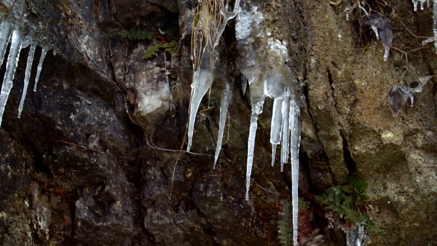  close-up shot of an icicle slowly melting and dripping off the side of a mountain. The frozen detail captures the transition between winter and thaw in a serene natural setting.