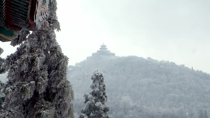 Two pine trees stand in the foreground, overlooking a vast snow-covered forest on a hillside in winter. A serene and scenic landscape of frosty trees and untouched nature.
