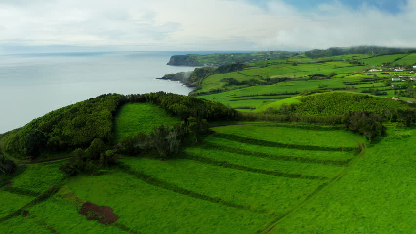 A captivating pull-in shot of a lush green field on Azores Island, showcasing the vibrant natural landscape and the serene beauty of the island’s countryside.