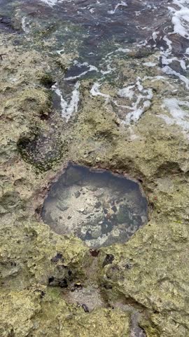 natural rock pools, square rock pools, reefs, ocean shore, miracle of nature, tidal pools, sea life, marine biodiversity, coastal formations, tide, aquatic ecosystems, unique habitats, geological wond