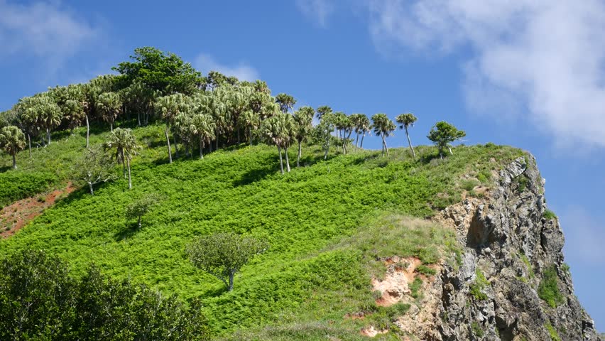 World Natural Heritage Site, Ogasawara Islands: A view from the pass on Chichijima in Ogasawara Village