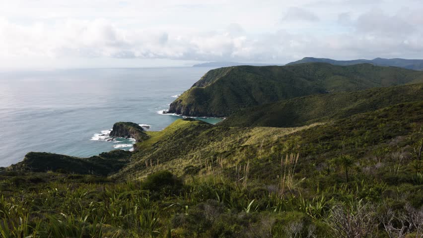 View of green coast and cliffs at Cape Reigna, Northland, New Zealand.