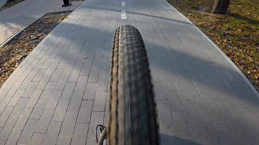 cycling on city bike path, rear view of rear wheel