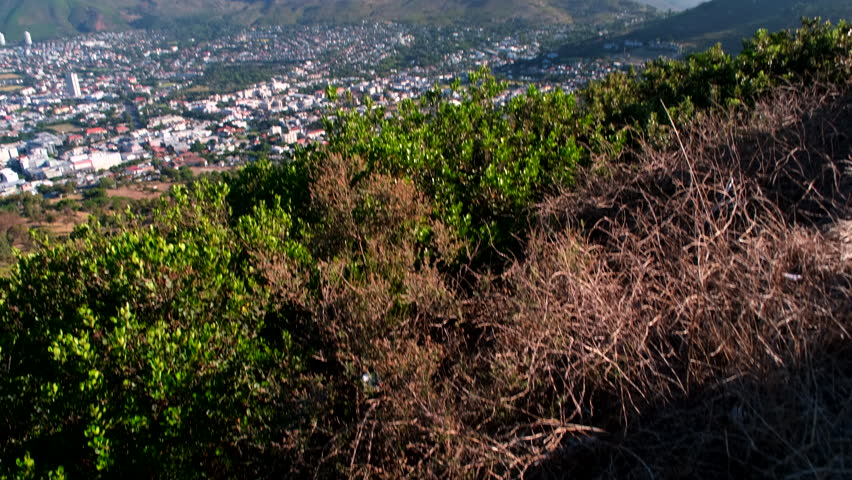 Iconic flat-topped Table Mountain overlooking city bowl of Cape Town, reveal