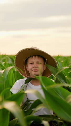 Happy child running through green corn field. Child run through corn field. Happy child playing in green field. Running farmer child on plantation. Little boy playing in countryside. Happy childhood