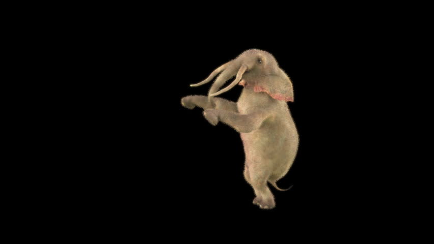 Elephant Dancing 3d rendering, Included in the end of the clip with Luma matte.