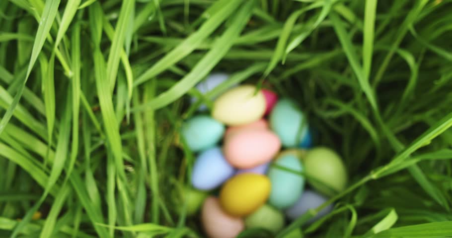 Nest of colorful Easter Eggs hidden tall grass found during Easter Egg hunt search.
