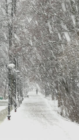 The winter fairy tale in the forest, snow-covered tree branches, large flakes of snow are slowly falling, snow storm, blizzard, the heavy snowfall in a wild park, walking people