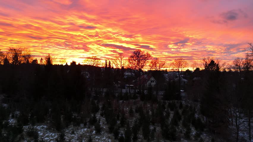 Aerial view ascending over winter forest during vibrant orange sunset, Czechia