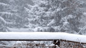 Snowy scene with a bench covered in snow. The snow is falling from the trees and the bench is covered in a thick layer of snow. Scene is peaceful and serene, as the snow creates a quiet - Powered by Shutterstock - Get 15% off with code: PIKWIZARD15