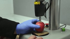 Worker analyzes apple density in food lab using fruit densitometer - Powered by Shutterstock - Get 15% off with code: PIKWIZARD15