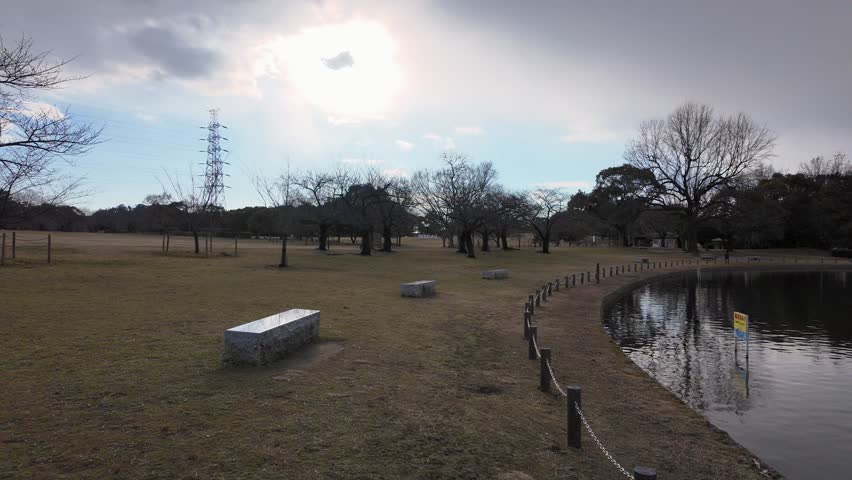 Daytime fixed shot of a Japanese autumn park with a quiet pond, grassy field, and empty benches, creating a calm and slightly lonely atmosphere.