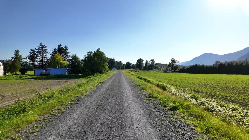 POV Walking Down a Gravel Road on a Sunny Day next to Farm Fields. BC, Canada.