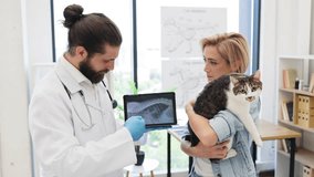 Veterinarian explaining X-ray image to young woman holding her pet cat indoors office. Image suitable for health care, veterinarian services, and animal welfare. - Powered by Shutterstock - Get 15% off with code: PIKWIZARD15