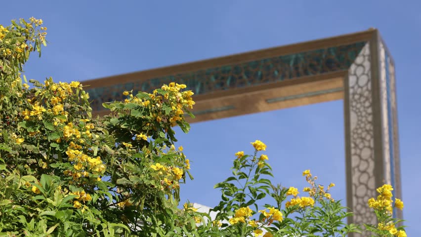 Dubai, UAE - December 9, 2024: Dubai Picture Frame. Bees pollinate bush against largest gold frame for photos, Zabeel park, Dubai, UAE. Vertical video. Shot handheld