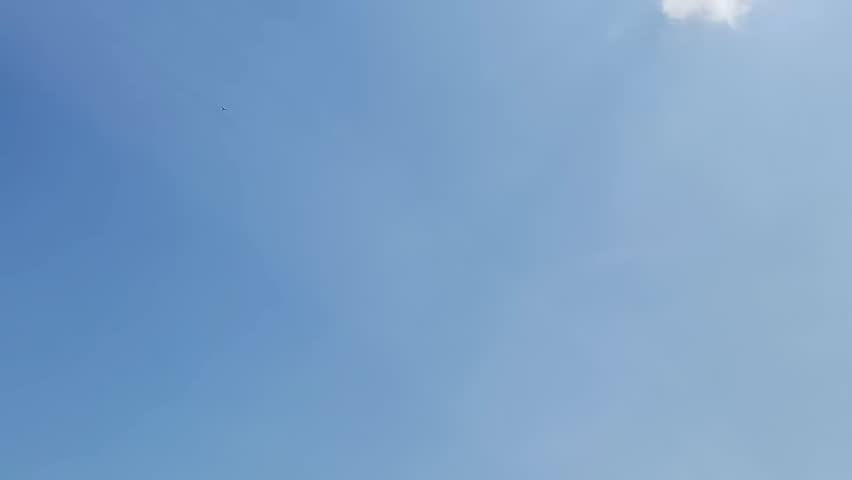 Shutterstock Video