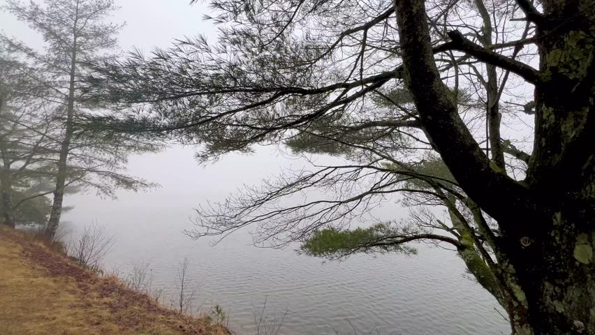 foggy day at bass lake in blowing rock nc, north carolina