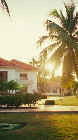 Real estate, cozy cottage village in outskirts in resort city in south, vertical video in sunny summer day. Architecture and landscape design, static shot outdoors, garden with palms near small houses