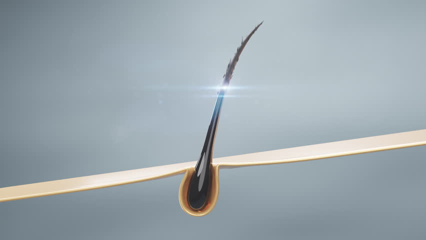 3D animation showing hair repair and follicle nourishment with deep serum penetration, illustrating advanced scalp treatment, hydration, and revitalization for healthy, strong hair.