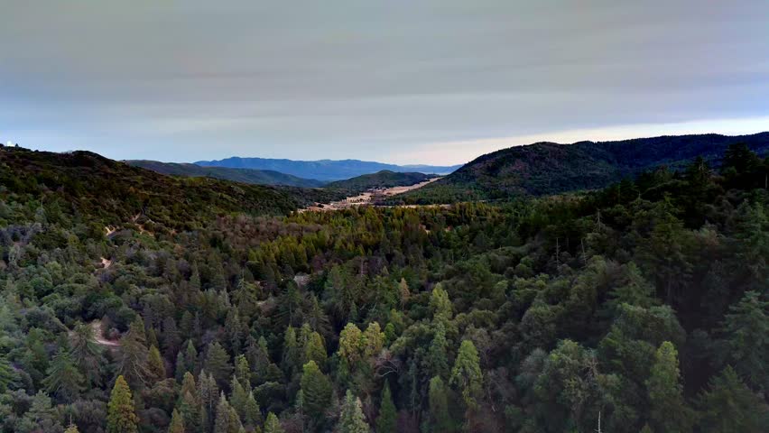 Forests Of Palomar Mountain State Park In San Diego County, California, United States. Aerial Drone Shot
