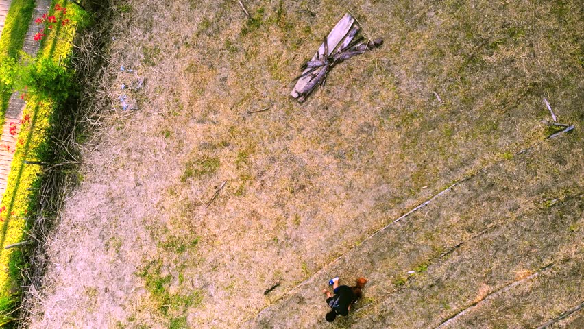 drone video of adult male colombian mestizo playing happily with his brown border collie dog on farm near medellin, colombia