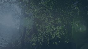 Floating numbers animation over trees and building in urban environment. Technology, digital, data, analytics, futuristic, cityscape - Powered by Shutterstock - Get 15% off with code: PIKWIZARD15