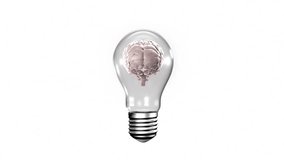 Animation of brain inside light bulb with mathematical equations on white background. Creativity, innovation, intelligence, problem-solving, inspiration, scientific - Powered by Shutterstock - Get 15% off with code: PIKWIZARD15