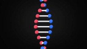 Holding DNA strand and brain hologram, hands symbolizing genetic research animation. Genetics, biotechnology, science, innovation, laboratory, technology - Powered by Shutterstock - Get 15% off with code: PIKWIZARD15