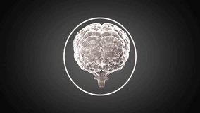 Animation showing neural activity with swirling lines in transparent brain model. Neuroscience, brain activity, neural network, scientific, visualization, technology - Powered by Shutterstock - Get 15% off with code: PIKWIZARD15