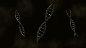 Animation of DNA strands encircling digital globe, showcasing global genetic research. Genetics, biotechnology, science, innovation, technology, genome - Powered by Shutterstock - Get 15% off with code: PIKWIZARD15