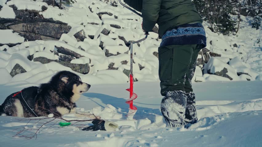 Person Using Ice Fishing Auger Drill With Alaskan Malamute Dog In Frozen Lake. Close-up Shot