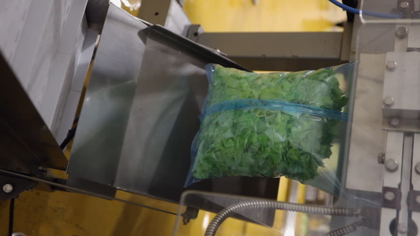 Vertical format, packaged bagged iceberg lettuce drops onto conveyor