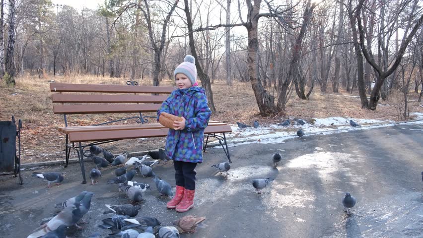 Child feeding birds pigeons in the park in spring or autumn. Playful, cute girl. recreational pursuit, candid	