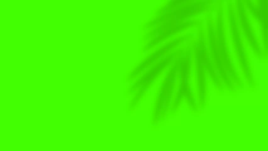  Palm Tree Shadow on Green Screen | Boho-Style Plant Silhouette | Abstract Minimalist Background | 4K - Powered by Shutterstock - Get 15% off with code: PIKWIZARD15