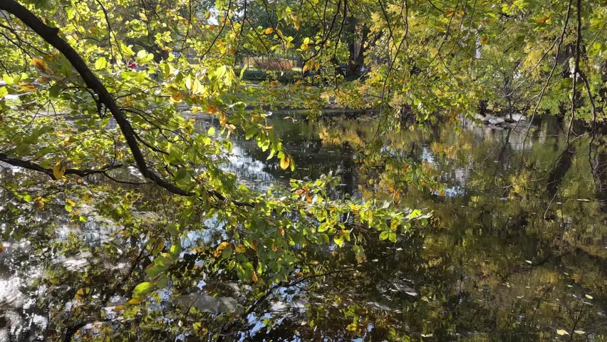 Small pond with fountain among the deciduous trees in autumn park, view while panning at sunny windy day 
