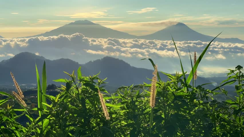 Green grass with sea of cllouds mountain background