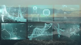 Scientific data processing animation over DNA strands and brain imagery. Biotechnology, genetics, neuroscience, analysis, innovation, futuristic - Powered by Shutterstock - Get 15% off with code: PIKWIZARD15