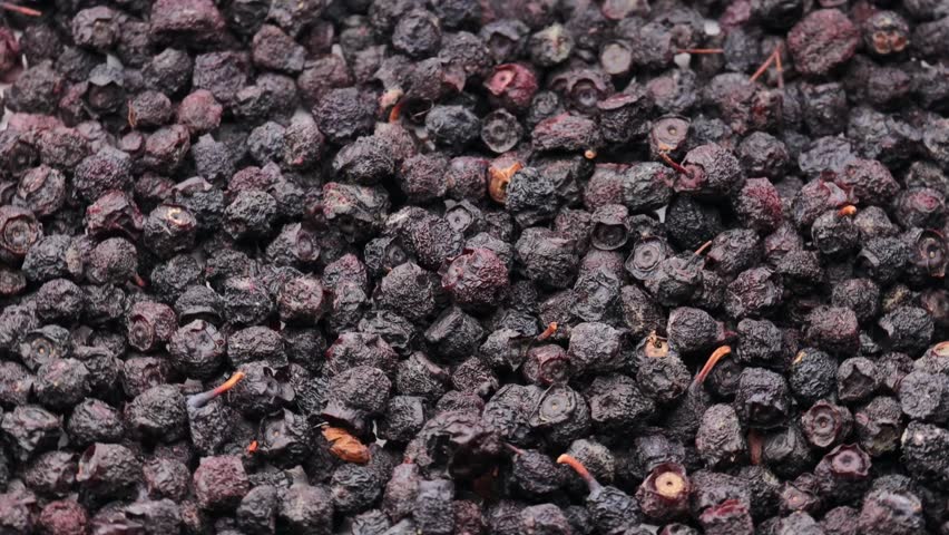 freeze-dried blueberries rotating in a circle. close-up of dried blueberries in motion. concept of freeze-dried fruit, healthy snack, and superfood